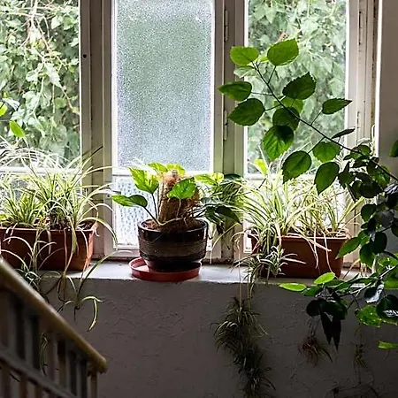 Vandrarhem Dakura Prag