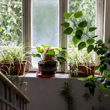 Dakura Hostel Praag