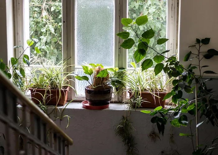 Dakura Vandrerhjem Prag